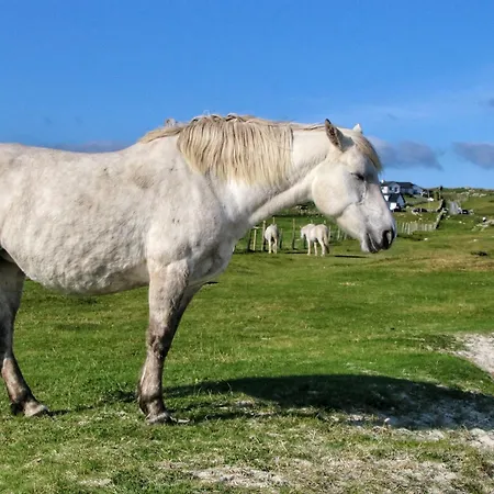 14 Leitirshask, * Ballyconneely